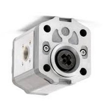 POMPA IDRAULICA GRUPPO 2 DA 20cc. - OLEODINAMICA GEAR PUMPS