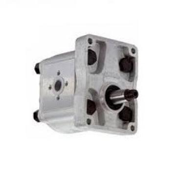 POMPA OLEODINAMICA IDRAULICA GRUPPO 2 20 CC DX- FLANGE IN GHISA - GEAR PUMPS