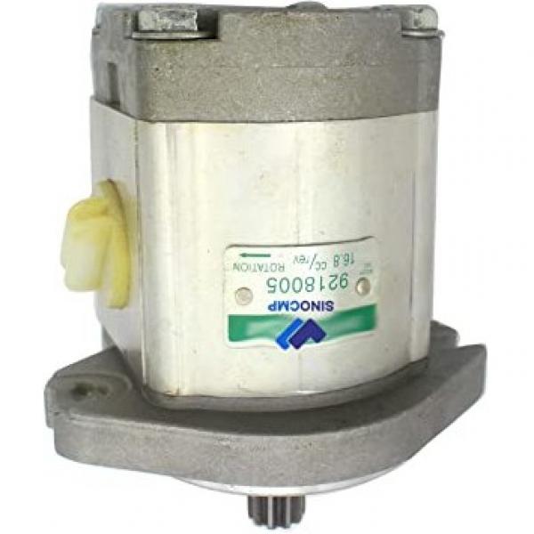 418-1672 4181672 Water Pump for Caterpillar 306E 307E Mini Hydraulic Excavator